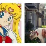 charmed-sailormoon-frikarte charmed-sailormoon-frikarte