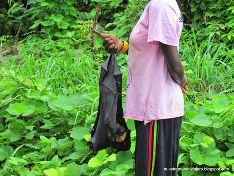 Vanuatu; explorando la Isla de Éfaté