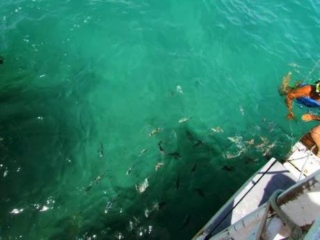 Piletas naturales de Maracajaú. Natal