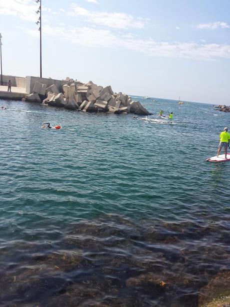 IV Sailfish Swim Barcelona. 3.600m