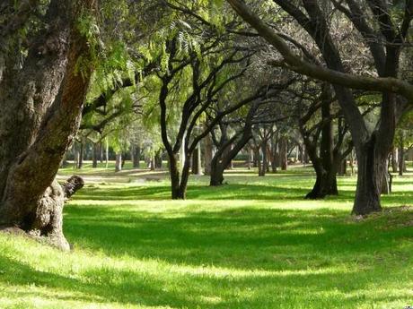 PArque Tangamanga I