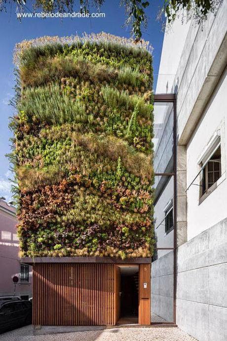 Fachada con plantas vivas en casa contemporánea de Lisboa 2012