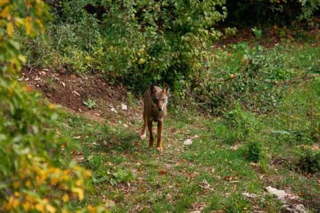 Un poco de pataleo: El optimismo y alarmismo en los medios de comunicación
