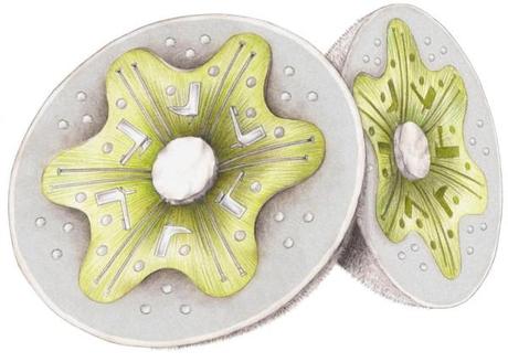 CuldeSac_El Fruto de Roca_Roca Madrid Gallery_sketch_0001