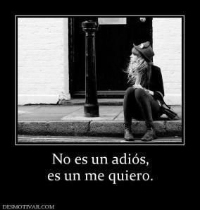 adios_delocos_yenajenados