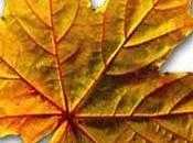 Esta estación fría caliente.