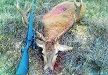 La caza mayor, un reclamo turístico en Los Filabres