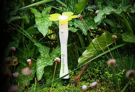 Friday’s Gadget: EasyBloom, tu jardinero USB Friday’s Gadget: EasyBloom, tu jardinero USB