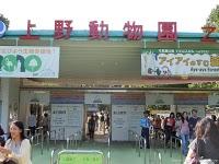 Grupo Octubrero, Nanpeando en narita, y frikadas infinitas