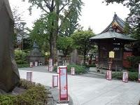 Grupo Octubrero, Nanpeando en narita, y frikadas infinitas