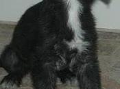 hermanitos zanja (Murcia)