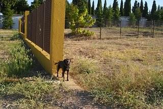 VIVO SIN VIVIR EN MI (MÉRIDA)