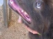 Vivo vivir (mérida)