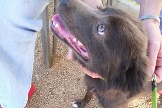 VIVO SIN VIVIR EN MI (MÉRIDA)