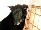 larga SOMBRA sombrío pasado. Refugio-Escuela (SEVILLA)