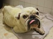 Mr.Sadman poco más....