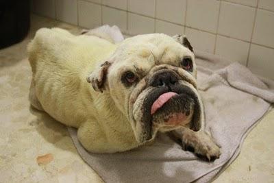 Mr.Sadman y poco más....