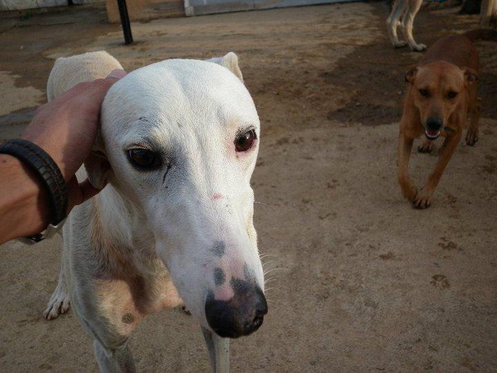 Zoido se recupera :)