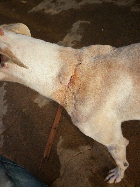 Zoido se recupera :)