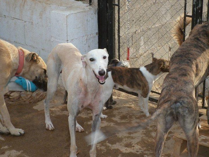 Zoido se recupera :)