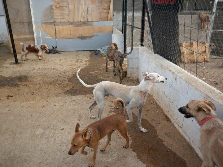 Zoido se recupera :)