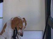 Mañana perrera, Dios está derrotado, Cádiz