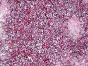 ¿777?: ¡zumo fermentación!