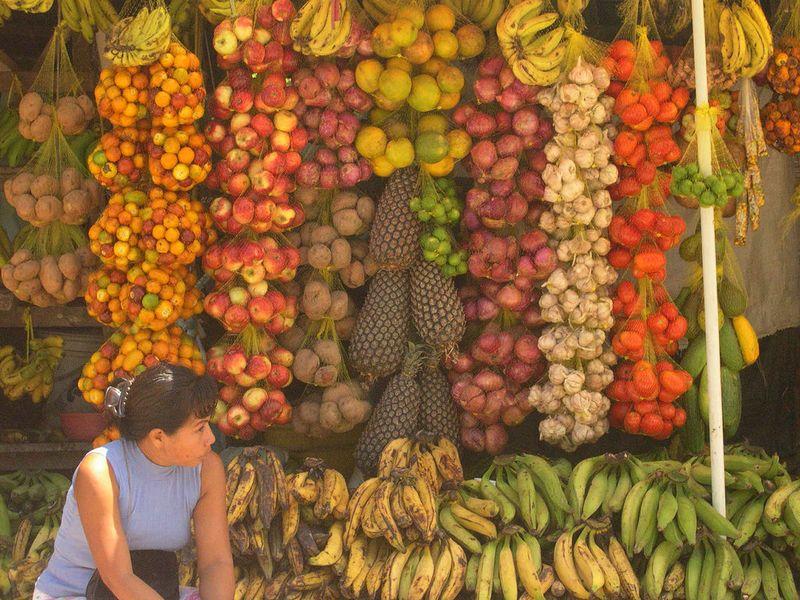 Sesión de Tarde: Soberanía Alimentaria