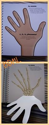 El cuerpo humano (Pascale Hédelin)