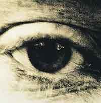 La paja en el ojo ajeno