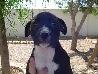 4 dulces te esperan!!