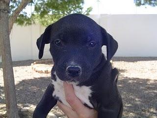 4 dulces te esperan!!