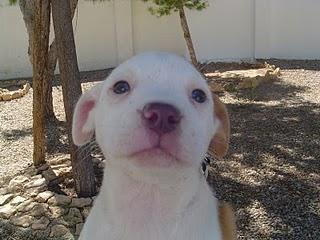 4 dulces te esperan!!