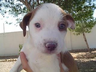 4 dulces te esperan!!