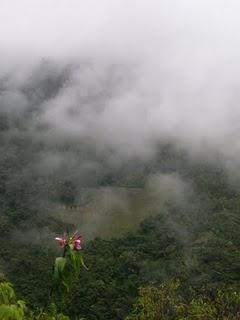 La espiritualidad es ver el horizonte ...