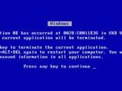 mente elefante asesino