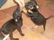 NOVEDADES: contenedor (Murcia)