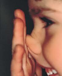 Bienvenidos al Sitio Web www.informanet1.com Director Gen...