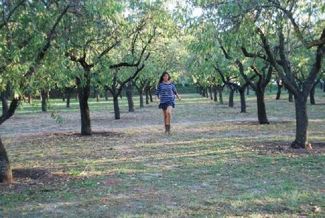 2day's Outfit: Cow Girl.