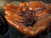 Vision Forex avance dólar afecta petróleo