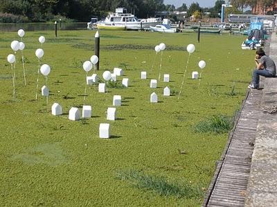 Experiencias en Ferrara.