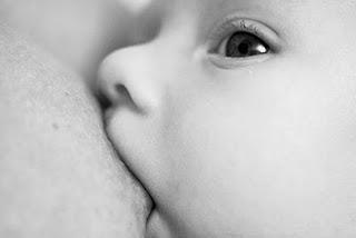 ¿Qué estamos haciendo?