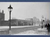 Cavalcade Many Moons