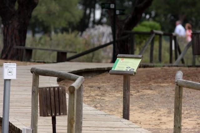 DOÑANA PARQUE NATURAL Y EL ACEBUCHE-HUELVA