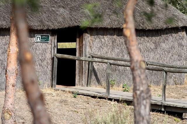 DOÑANA PARQUE NATURAL Y EL ACEBUCHE-HUELVA