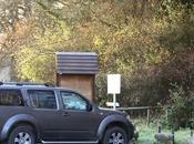 robledal orgi-el bosque encantado