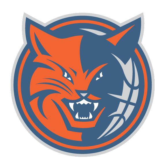 Previa Temporada '10-11: Charlotte Bobcats