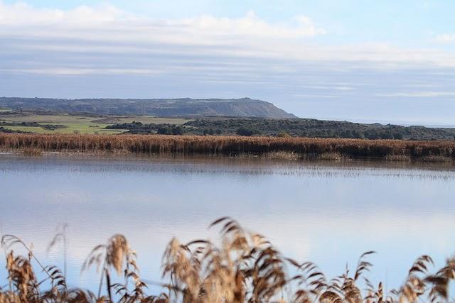 LAGUNA DE PITILLAS-NAVARRA-PITILLAS NATURE RESERVE