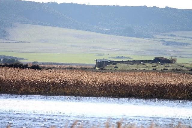 LAGUNA DE PITILLAS-NAVARRA-PITILLAS NATURE RESERVE