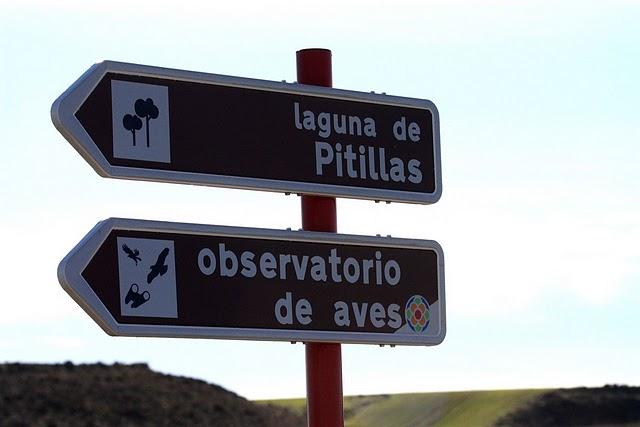 LAGUNA DE PITILLAS-NAVARRA-PITILLAS NATURE RESERVE